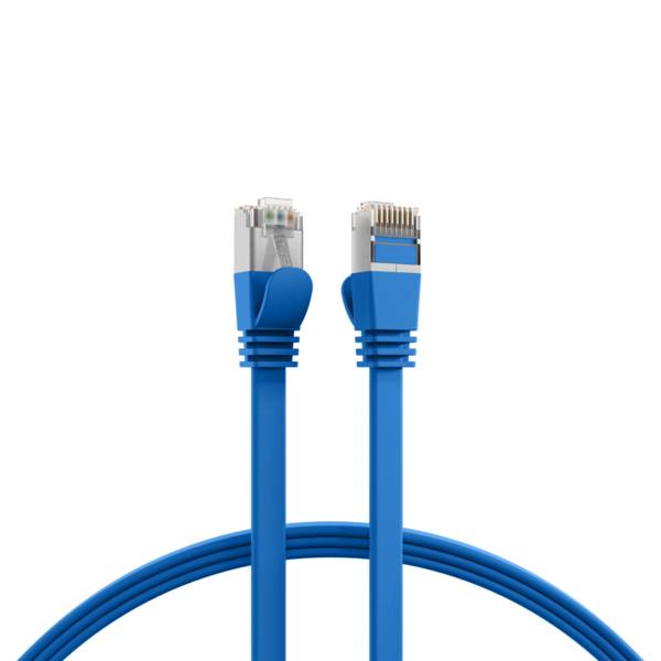Eine Nahaufnahme von zwei blauen Ethernet-Kabeln mit transparenten Steckverbindern, die aufrecht vor einem weißen Hintergrund stehen.