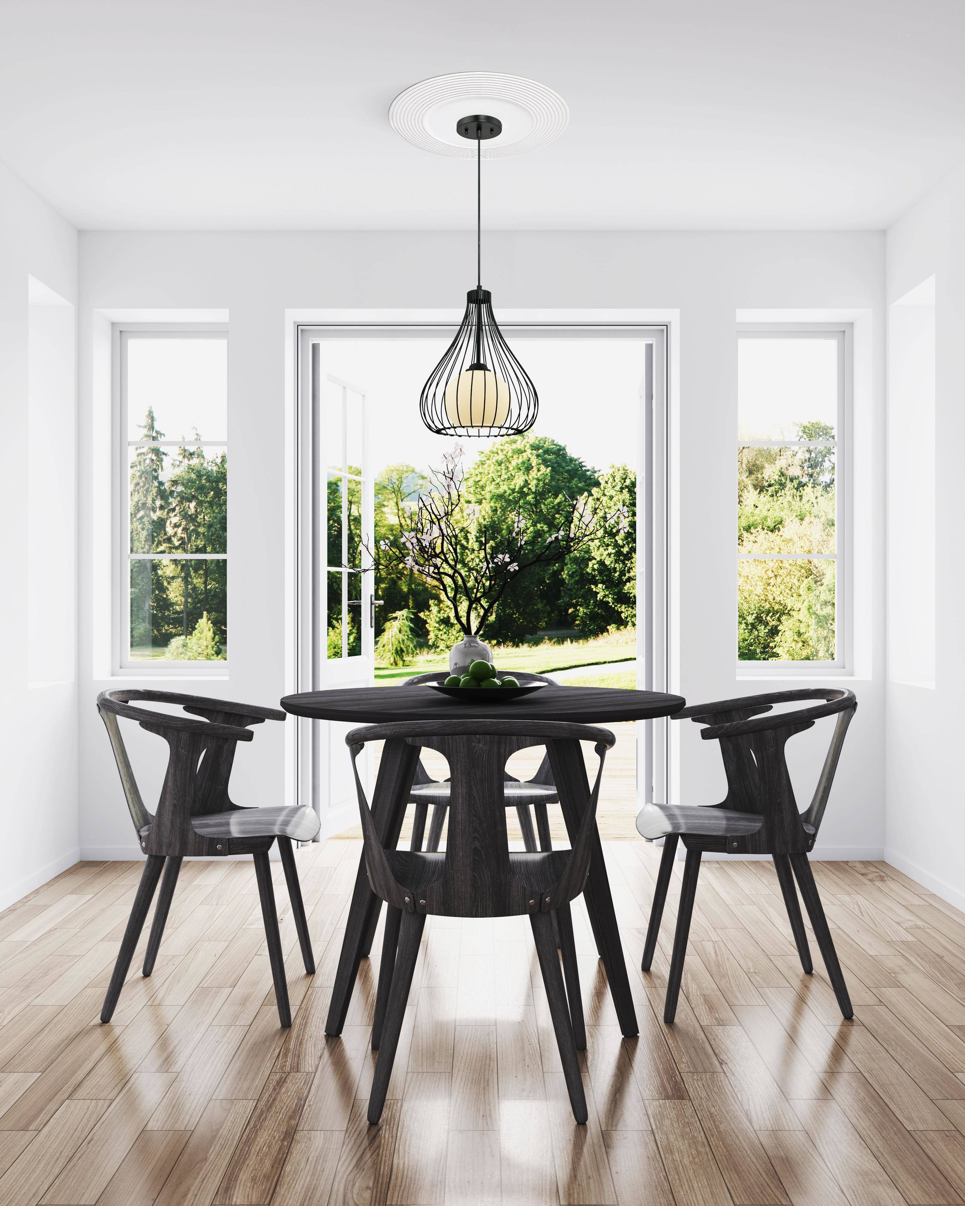 Pendelleuchte Käfig Glaskugel Mattschwarz mit 1 Lampe