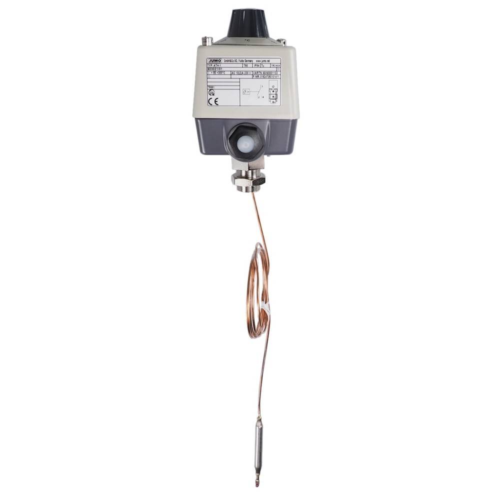 Jumo Temperaturregler 60001133