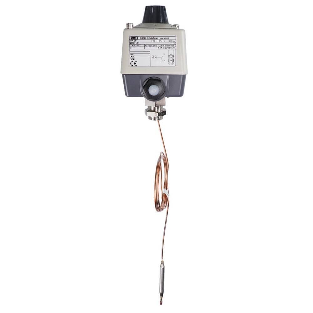 Jumo Temperaturregler 60001133