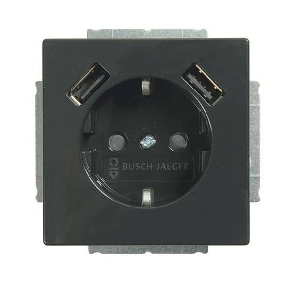 Busch-Jaeger SCHUKO-2x USB Steckdose 20 EUCB2USB-81