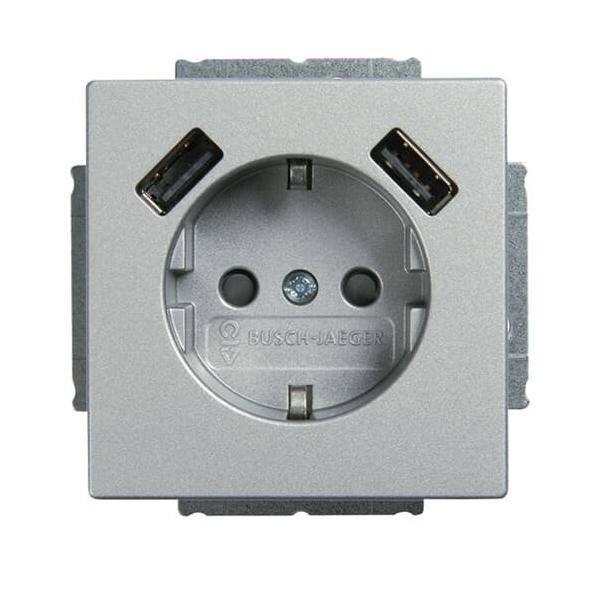 Busch-Jaeger SCHUKO-2x USB Steckdose 20 EUCB2USB-83