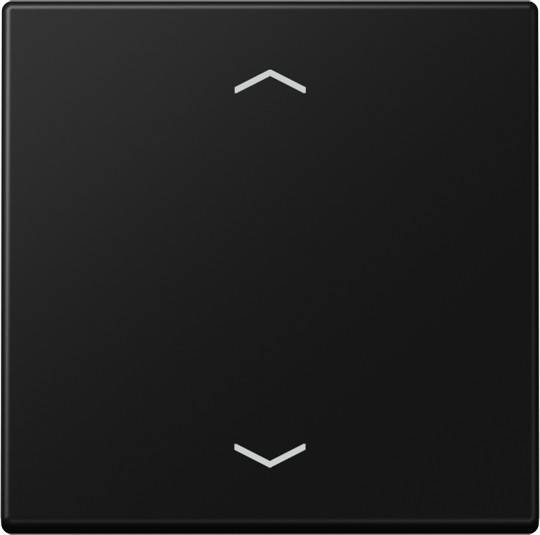 Jung Wippe mit Pfeilsymbolen A 101 P BF SWM