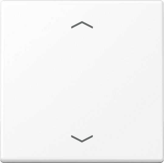 Jung Wippe mit Pfeilsymbolen A 101 P BF WWM