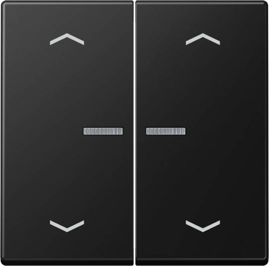 Jung Wippe mit Lichtleiter A 102 KO5P BF SWM