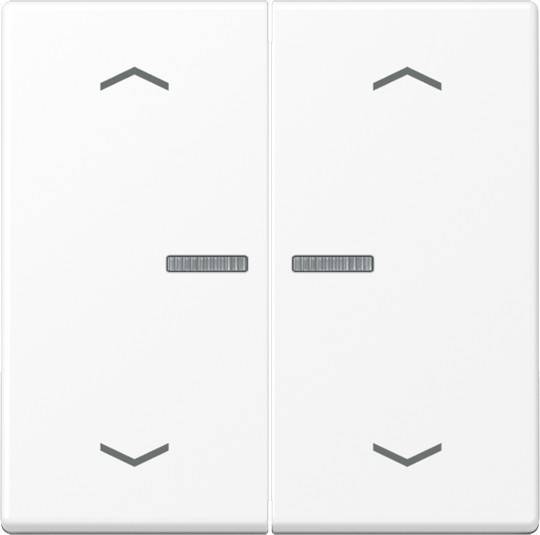 Jung Wippe mit Lichtleiter A 102 KO5P BF WWM