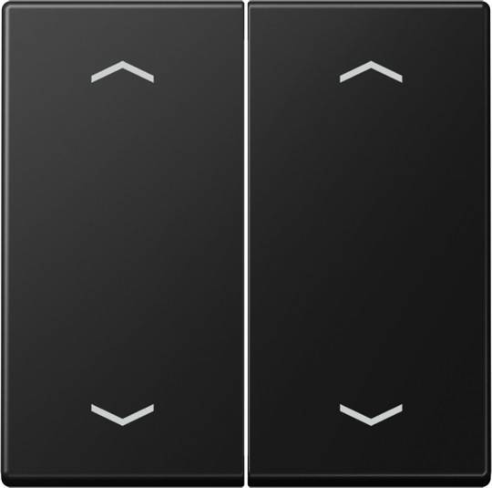 Jung Wippe mit Pfeilsymbolen A 102 P BF SWM