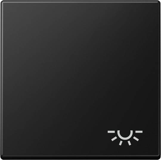 Jung Wippe 1-fach A 590 L SWM