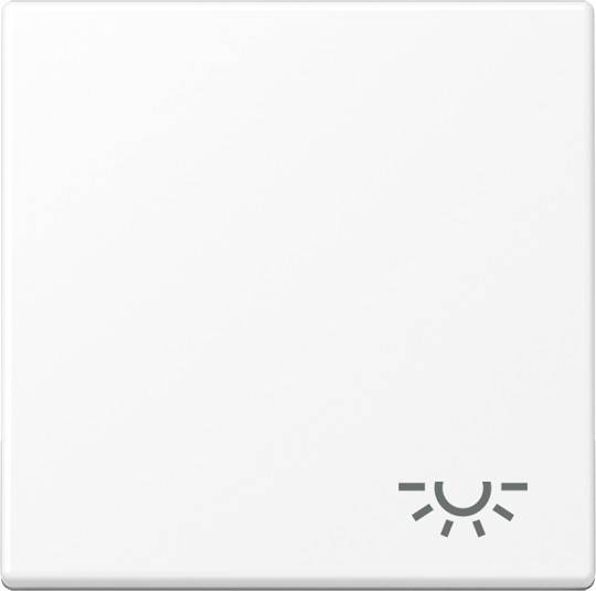 Jung Wippe 1-fach A 590 L WWM