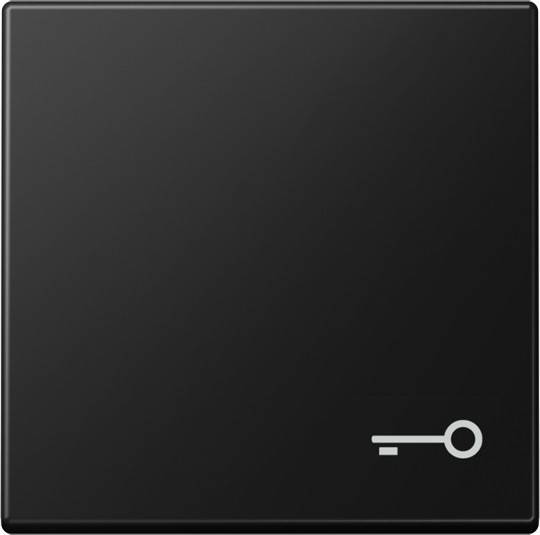 Jung Wippe 1-fach A 590 T SWM