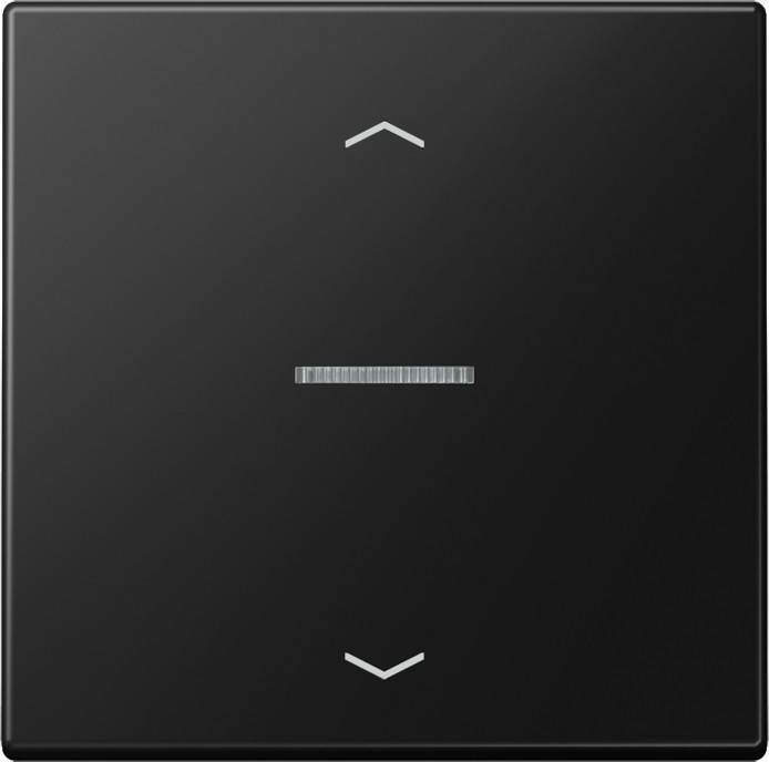 Jung Wippe mit Lichtleiter LS 101 KO5P SWM