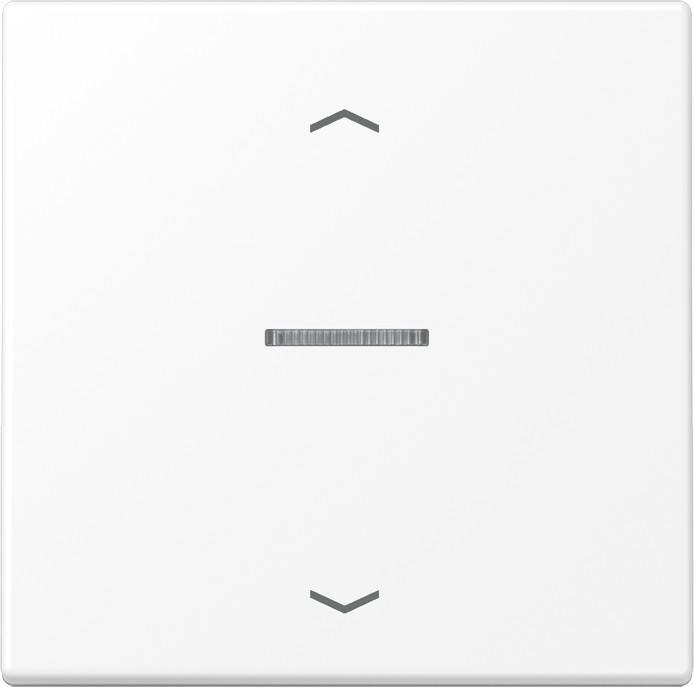 Jung Wippe mit Lichtleiter LS 101 KO5P WWM