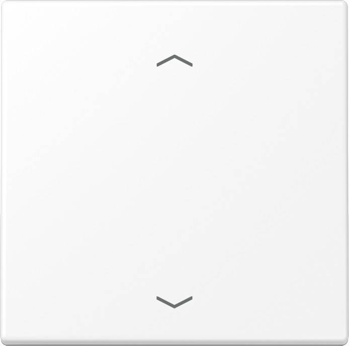 Jung Wippe mit Pfeilsymbolen LS 101 P WWM