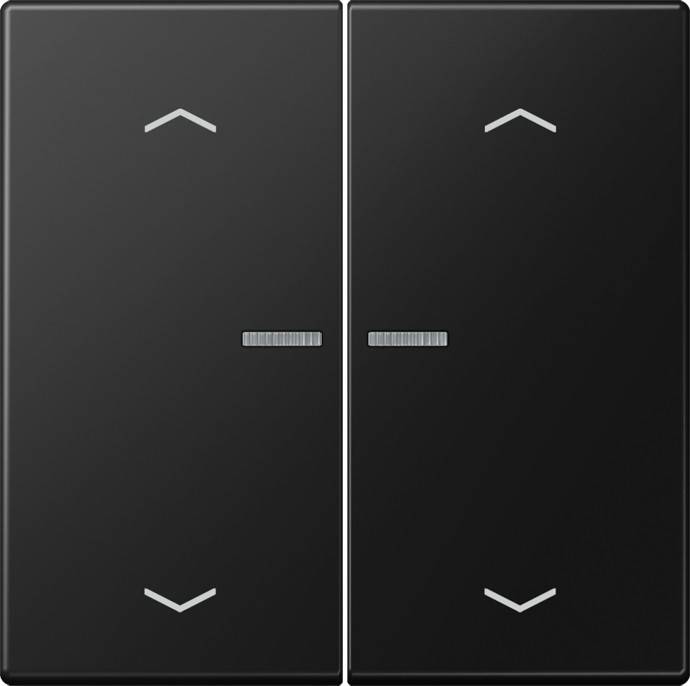 Jung Wippe mit Lichtleiter LS 102 KO5P SWM