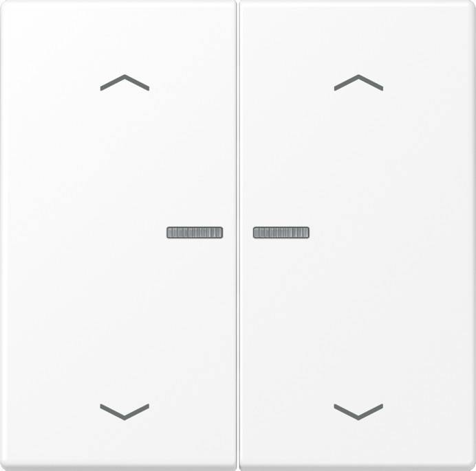 Jung Wippe mit Lichtleiter LS 102 KO5P WWM