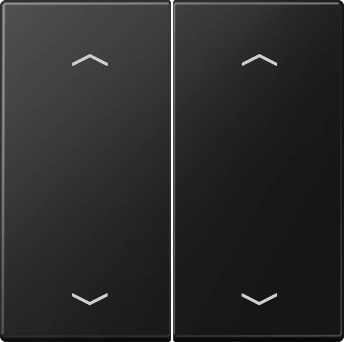 Jung Wippe mit Pfeilsymbolen LS 102 P SWM