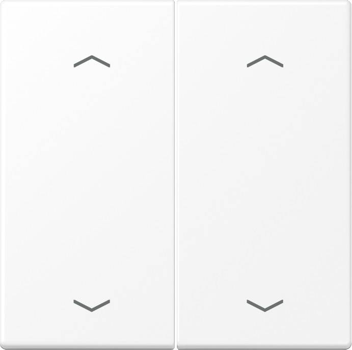 Jung Wippe mit Pfeilsymbolen LS 102 P WWM