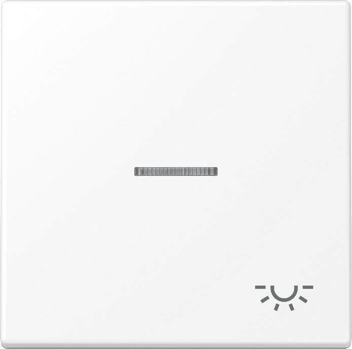 Jung Wippe 1-fach LS 990 KO5 L WWM