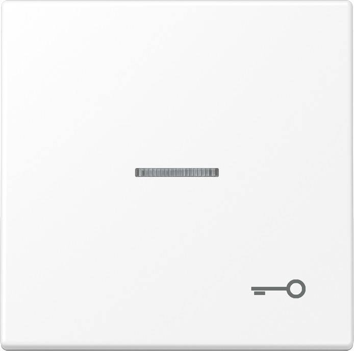 Jung Wippe 1-fach LS 990 KO5 T WWM