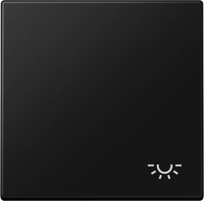 Jung Wippe 1-fach LS 990 L SWM