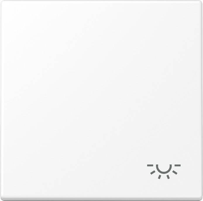 Jung Wippe 1-fach LS 990 L WWM