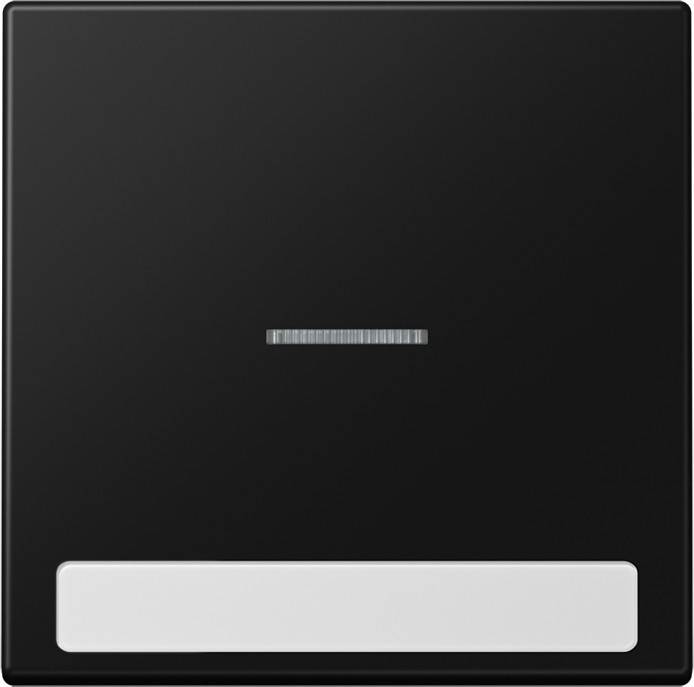 Jung Wippe 1-fach LS 990 NAKO5 SWM