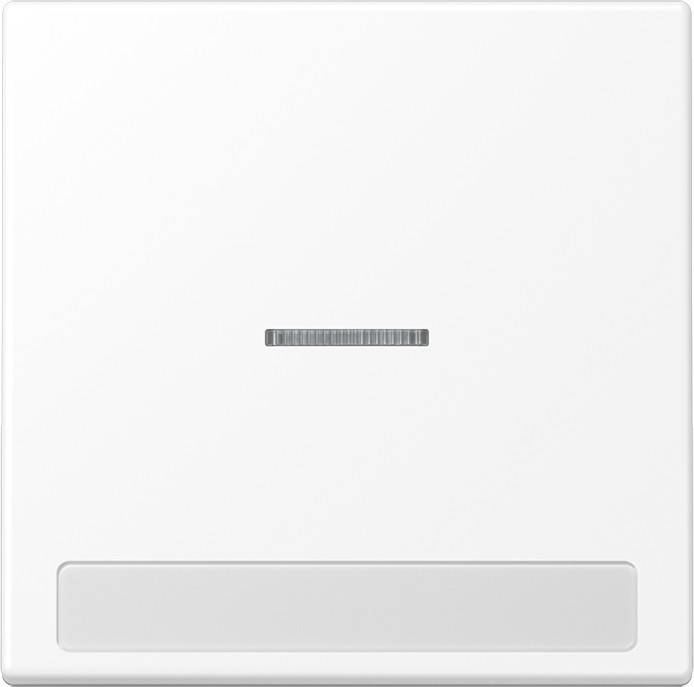 Jung Wippe 1-fach LS 990 NAKO5 WWM