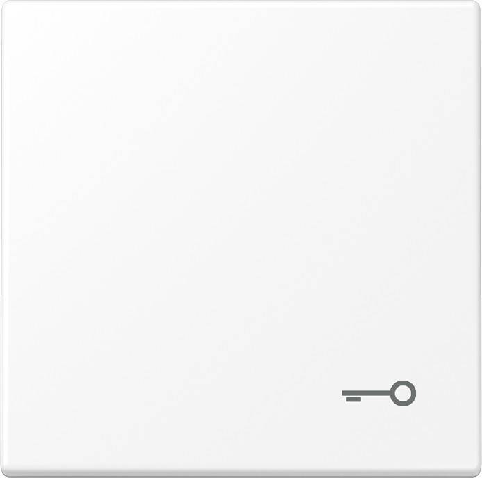 Jung Wippe 1-fach LS 990 T WWM