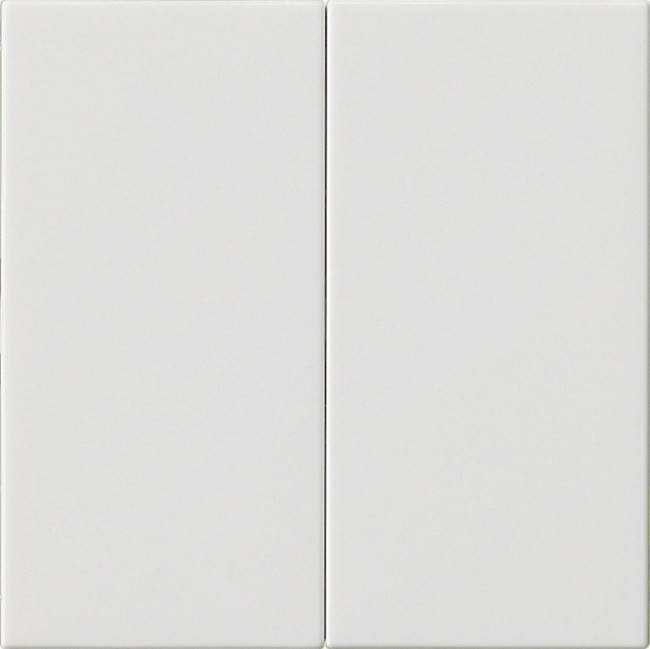 Gira Wippe 2-fach 537003