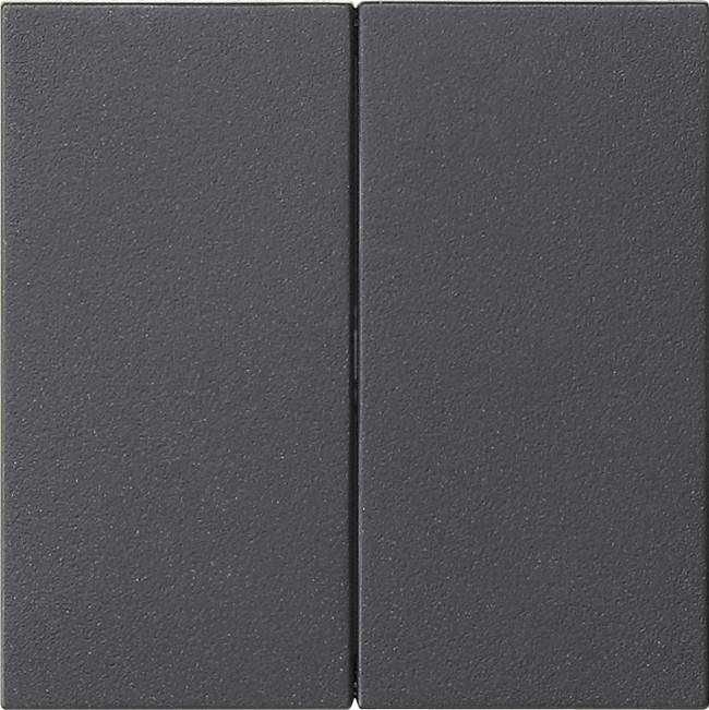 Gira Wippe 2-fach 537028