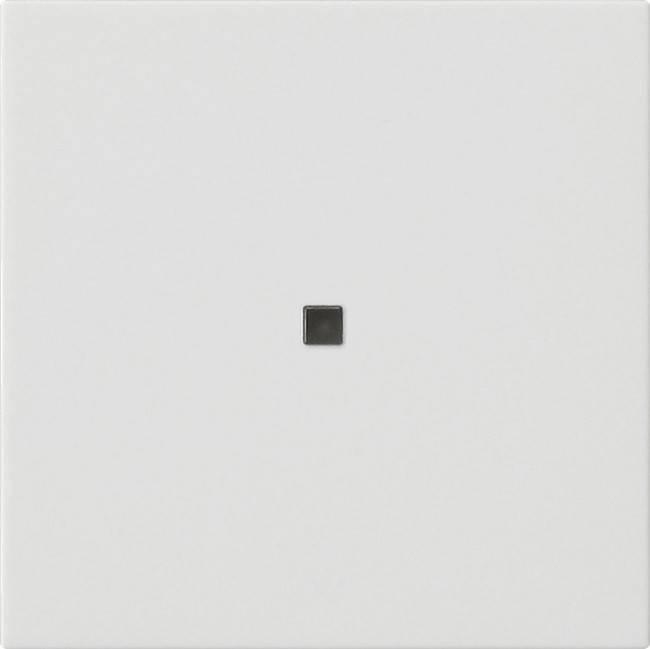 Gira Wippe 1-fach 537127