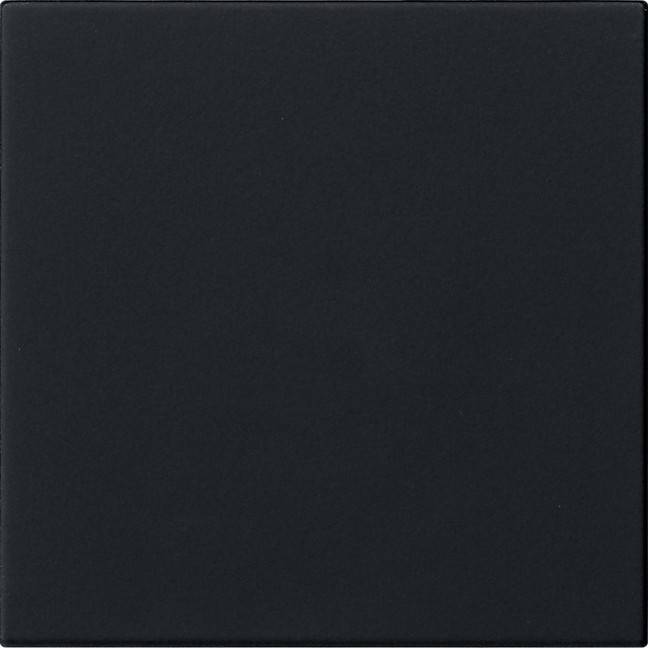 Gira Wippe 1-fach 5372005