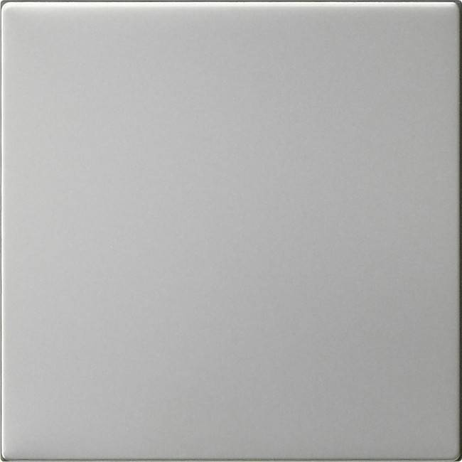 Gira Wippe 1-fach 5372600