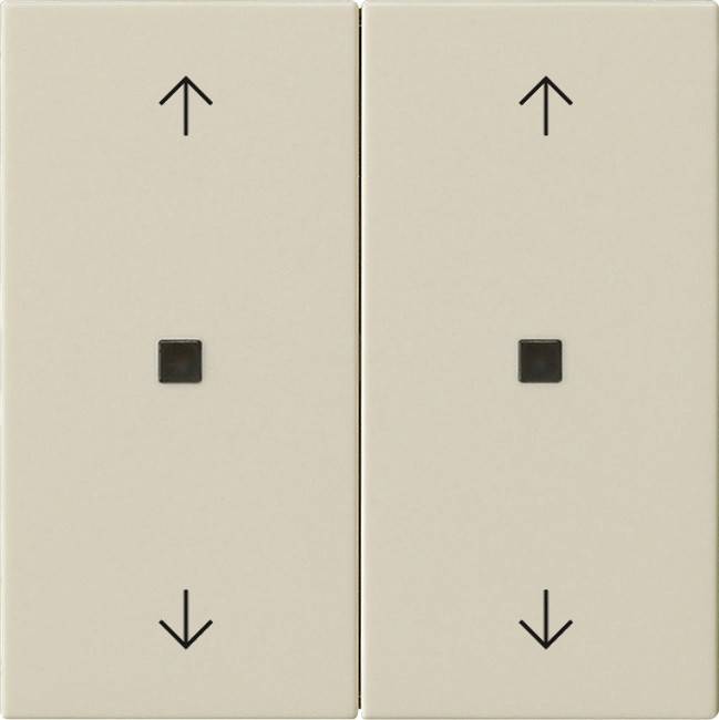 Gira Wippe 2-fach 538601