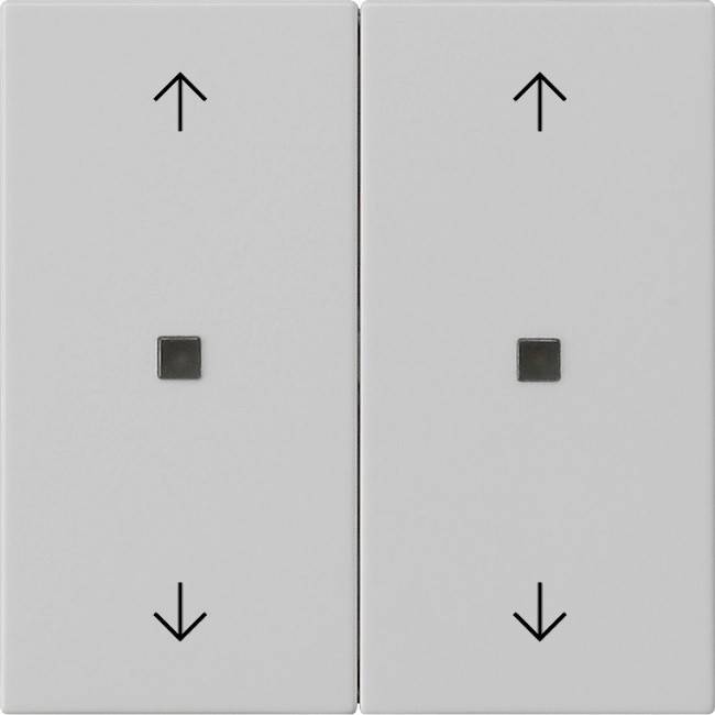 Gira Wippe 2-fach 5386015