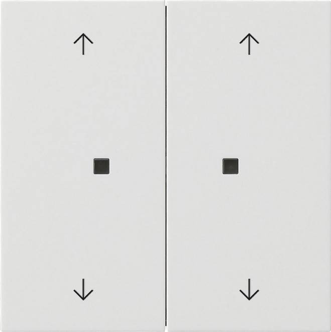 Gira Wippe 2-fach 5386112