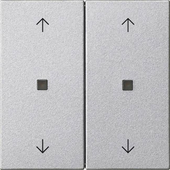 Gira Wippe 2-fach 538626