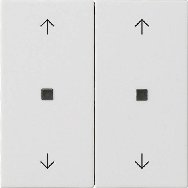 Gira Wippe 2-fach 538627