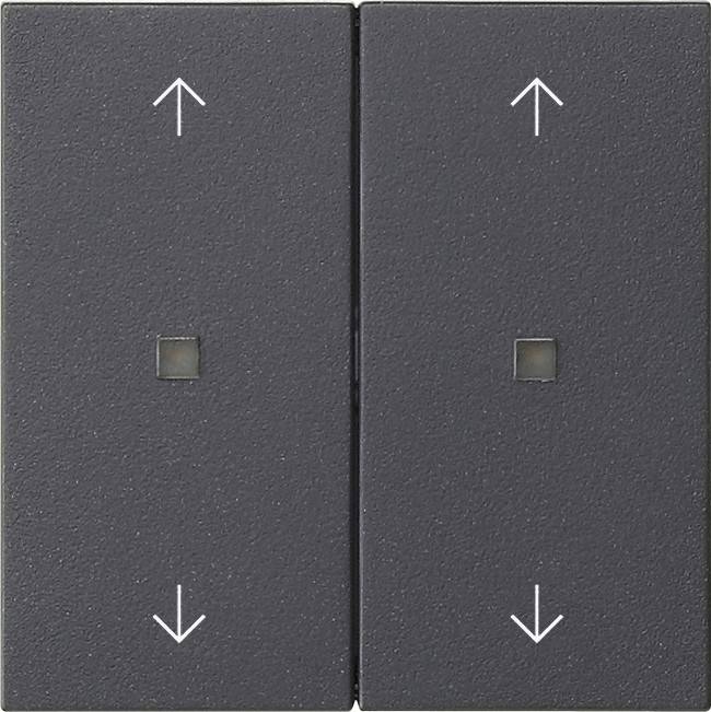 Gira Wippe 2-fach 538628