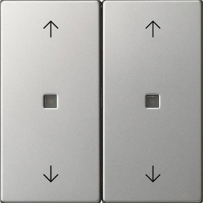 Gira Wippe 2-fach 5386600