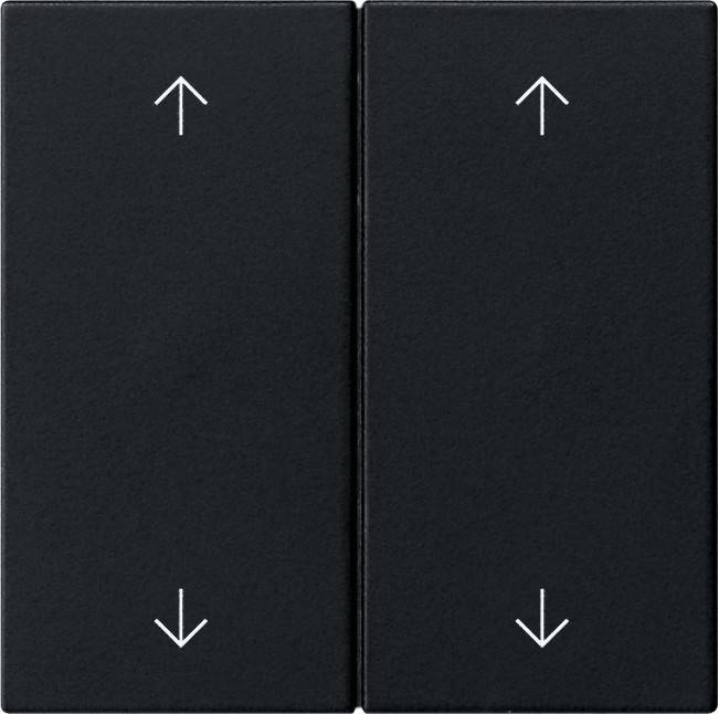 Gira Wippe 2-fach 5387005