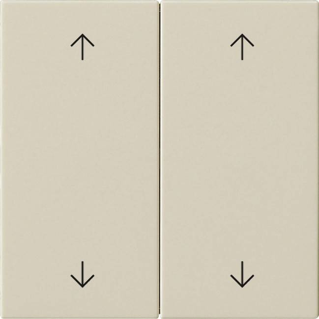 Gira Wippe 2-fach 538701