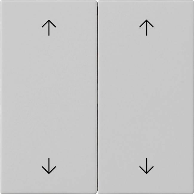 Gira Wippe 2-fach 5387015