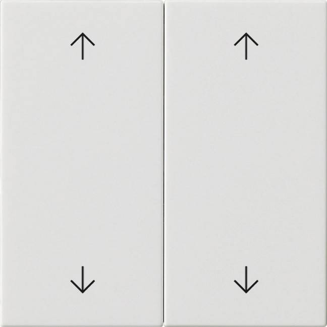 Gira Wippe 2-fach 538703