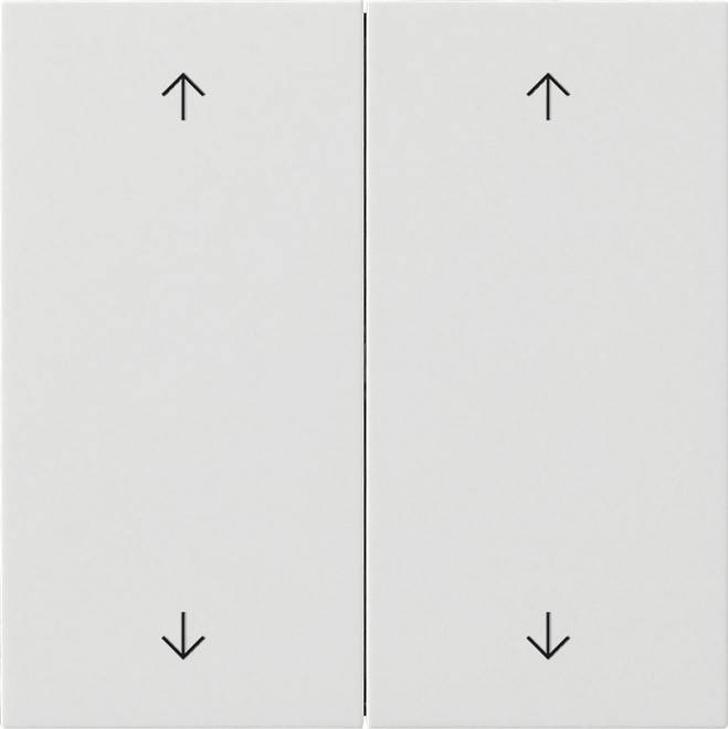 Gira Wippe 2-fach 5387112