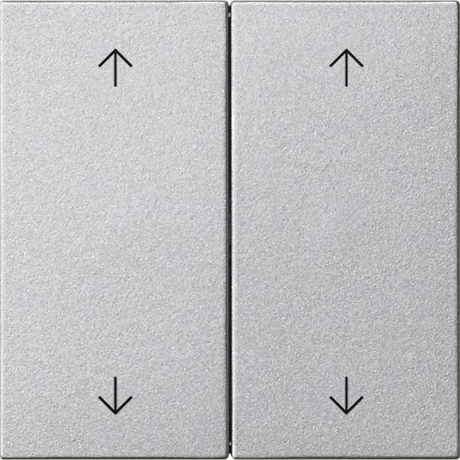 Gira Wippe 2-fach 538726