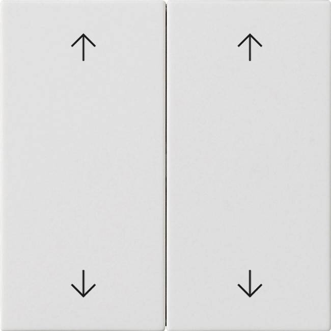 Gira Wippe 2-fach 538727