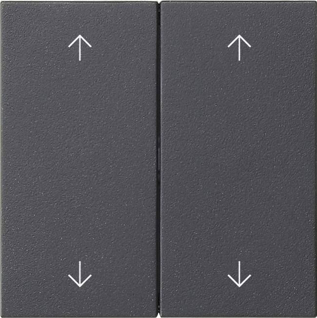 Gira Wippe 2-fach 538728