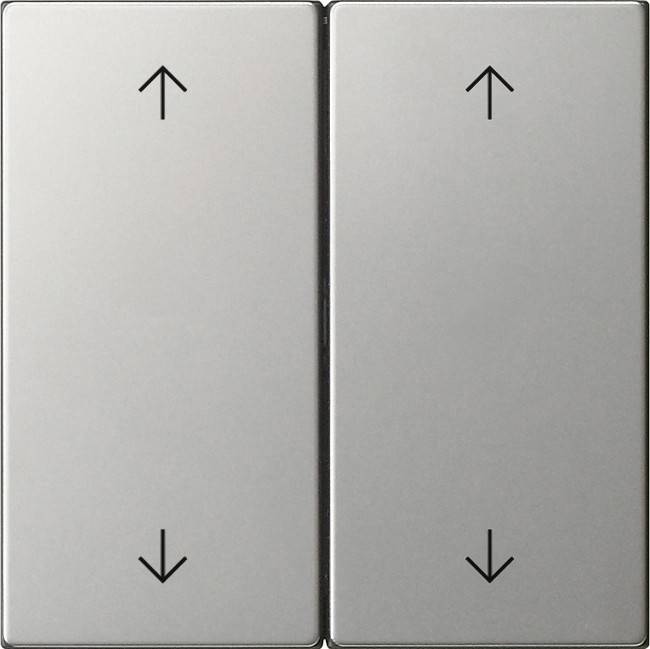 Gira Wippe 2-fach 5387600