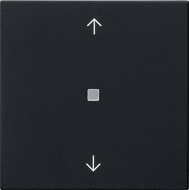 Gira Wippe 1-fach 5388005